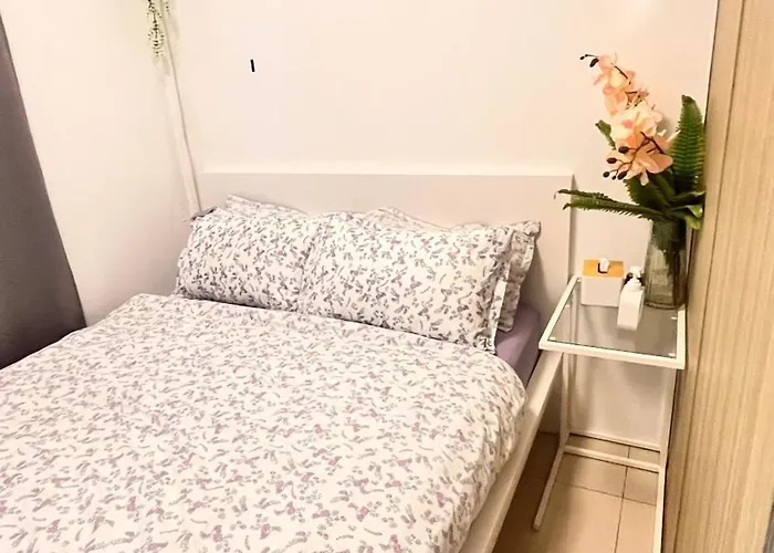 Breeze 5*